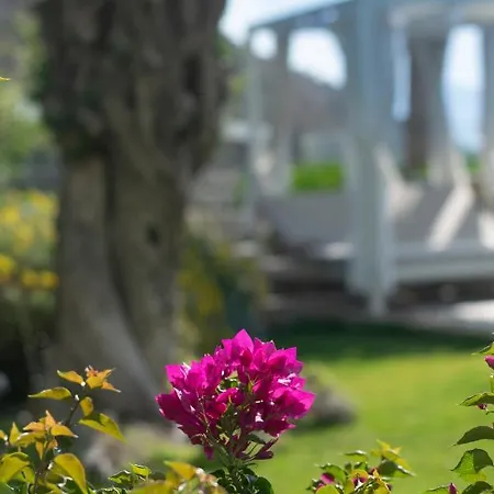 بودروم إنفينيتي تورغوتْريس