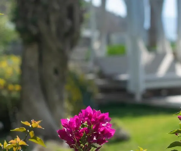 Bodrum Infinity Тургутрейс