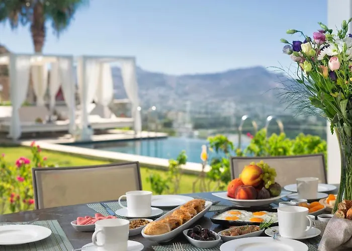 Vila Bodrum Infinity