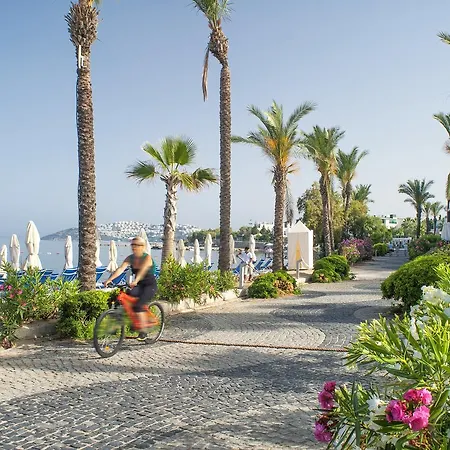 ヴィラ Bodrum Infinity *